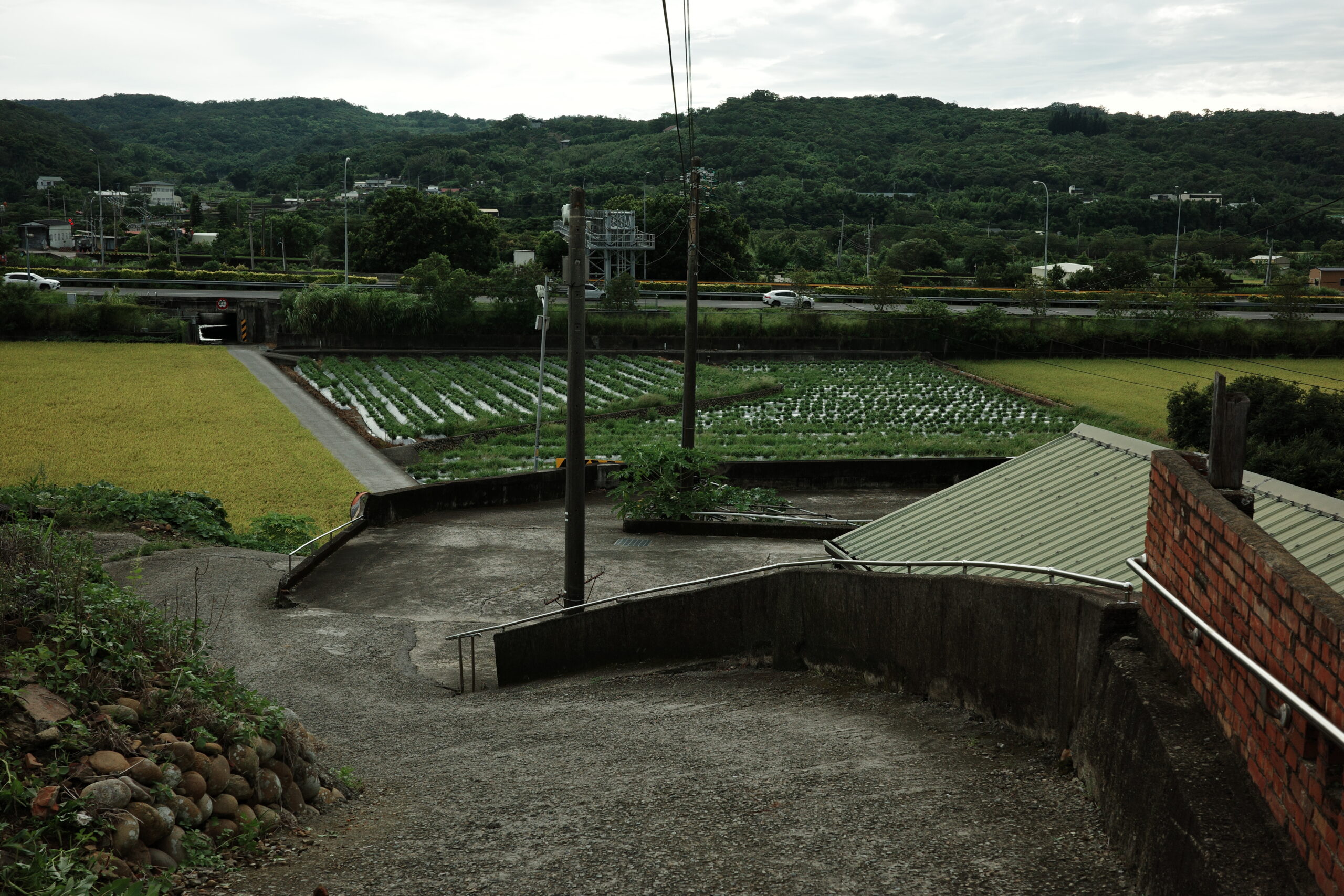 Winding rural road leading past rice fields towards distant hills – Scentography style
蜿蜒的鄉間小路穿過稻田通向遠山 —— 氣韻攝記風格